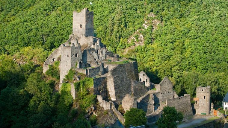 Eine alte Burgruine im Grünen, umgeben von Wald. Die Struktur ist teilweise zerfallen, aber beeindruckend in der Landschaft.
