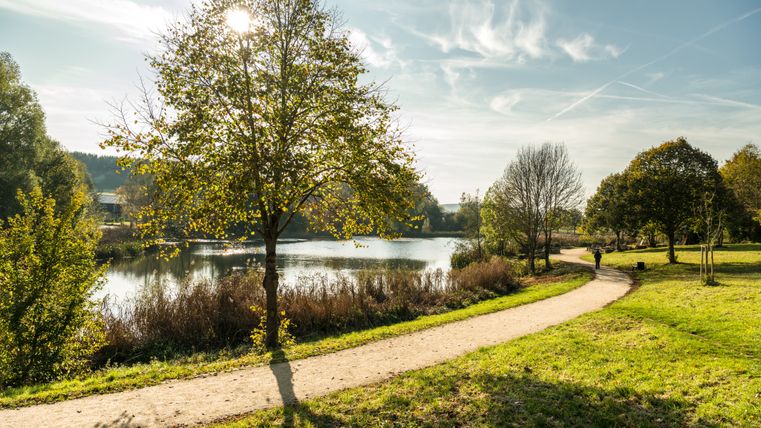 Path through the Bolsdorf valley next to the adjacent lake.