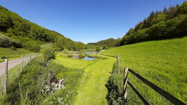 Landschaft mit Fischweiher, Wiesen und Wald bei Deudesfeld.