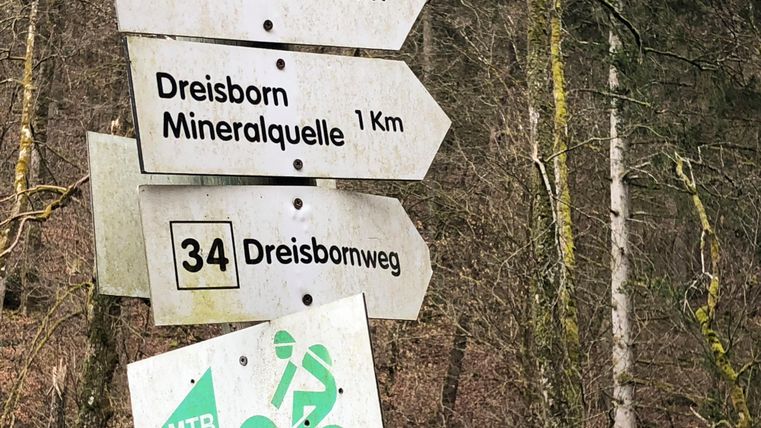Wegweiser im Wald mit Richtungshinweisen nach Bettenfeld und Dreisborn. Die Schilder zeigen Entfernungen und einen Mountainbike-Weg an.
