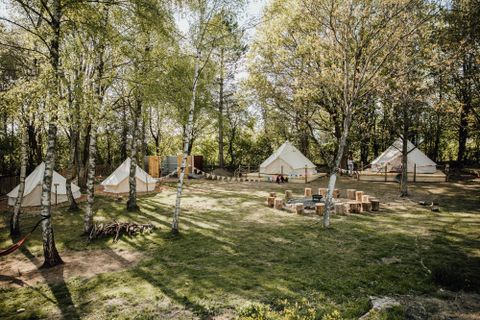 Eine ruhige Campinglandschaft mit mehreren Zelten in einem bewaldeten Bereich. Die sonnige Wiese bietet Platz für Aktivitäten und Entspannung.