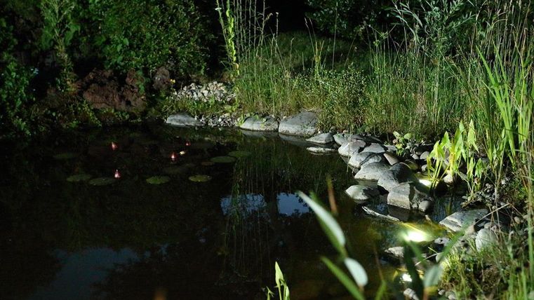 Ein stiller Teich umgeben von grünen Pflanzen und Steinen. Sanfte Beleuchtung schafft eine ruhige Atmosphäre in der Nacht.
