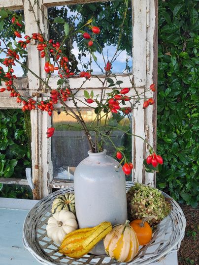 Ein dekorativer Tisch mit einer Vase, die mit Zweigen und roten Beeren gefüllt ist. Darum herum sind verschiedene Kürbisse und eine hübsche Korbplatte.
