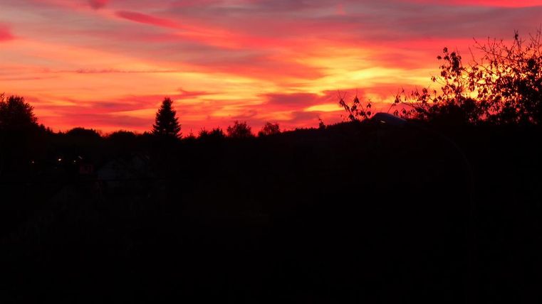 Ein beeindruckender Sonnenuntergang mit leuchtenden roten und orangefarbenen Wolken. Silhouetten von Bäumen sind im Vordergrund sichtbar.