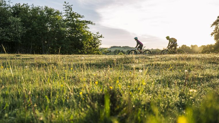 Zwei Radfahrer fahren bei Sonnenuntergang durch eine grüne Wiese. Der Himmel ist klar und die Landschaft ist ruhig.