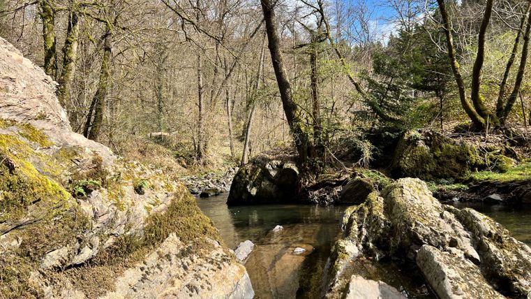 Steinformation an einem Bach im Wald mit Bäumen und blauem Himmel.