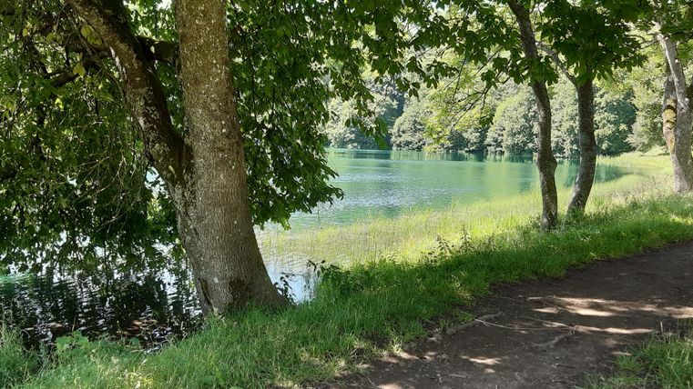 Ein ruhiger Weg entlang eines klaren Sees, umgeben von grünen Bäumen. Die Sonne scheint und die Natur wirkt einladend.