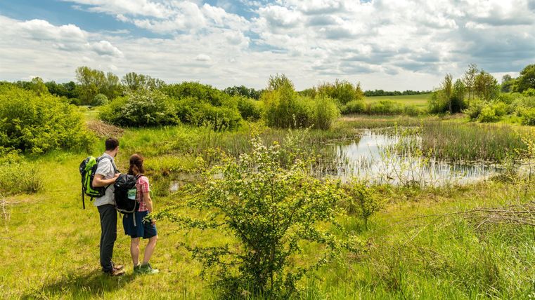 Zwei Wanderer stehen an einem Teich und genießen die Natur. Die Umgebung besteht aus üppigem Grün und einem klaren Himmel.