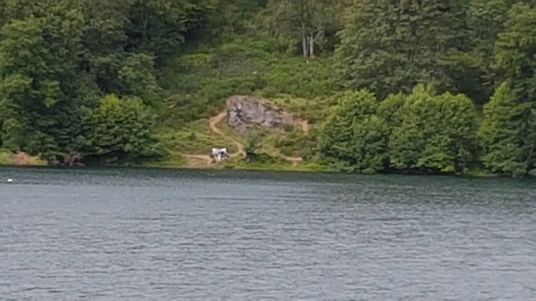 Eine ruhige Landschaft mit einem See und üppigem Grün. Auf einem Uferweg sind Personen zu sehen, die sich dem Wasser nähern.