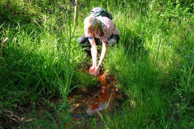 Eine Person beugt sich über einen kleinen Teich in einer grünen Lichtung. Umgeben von hohem Gras und Bäumen sammelt sie Wasser.