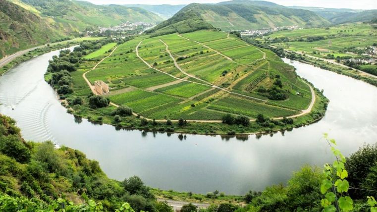 Eine malerische Landschaft mit Hügeln, die mit Weinbergen bedeckt sind. Ein ruhiger Fluss schlängelt sich um die grünen Hügel.