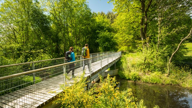Zwei Personen wandern über eine Brücke im Naturschutzgebiet Mürmes, umgeben von grünen Bäumen und gelbem Ginster.
