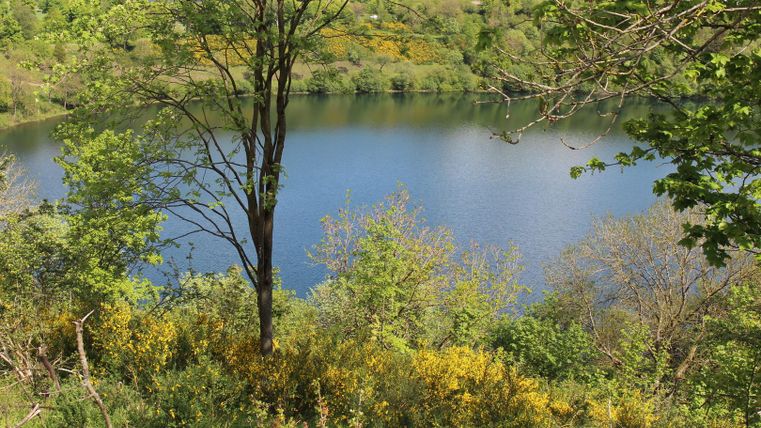Ein ruhiger See umgeben von üppigem Grün und bunten Blumen. Die klare Oberfläche spiegelt die umliegende Natur wider.
