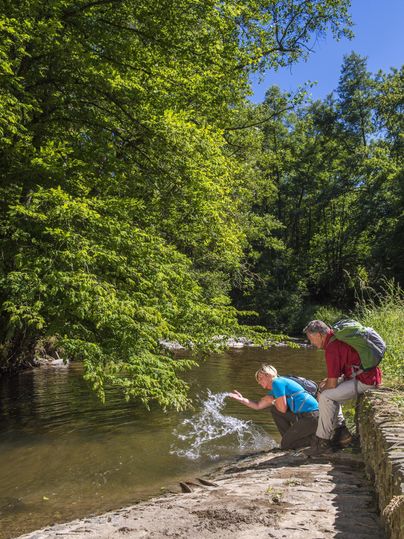 Ein ruhiger Fluss umgeben von grünen Bäumen. Zwei Personen sitzen am Ufer und genießen die Natur.