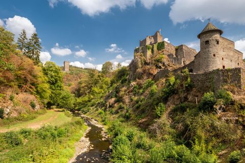 Eine alte Burg an einem Fluss, umgeben von grünen Bäumen. Der Himmel ist klar mit einigen Wolken.