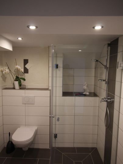 Ein modernes Badezimmer mit einer Glasdusche und einem WC. Die Wände sind hell gefliest und es gibt eine stilvolle Pflanze auf der Ablage.