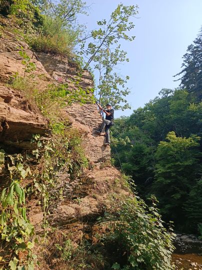A person is climbing a steep rock face. In the background, green trees and a clear sky can be seen.